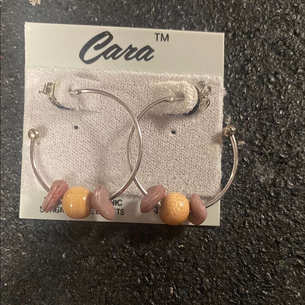 Cara 90s Silver and Brown Hoop Earrings